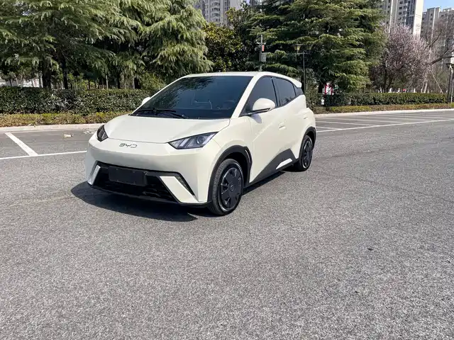 2025 BYD Seagull
