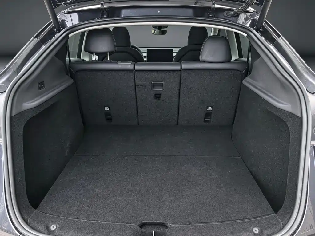 Tesla Model Y — миниатюра 11