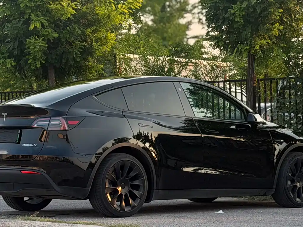 Tesla Model Y — миниатюра 6