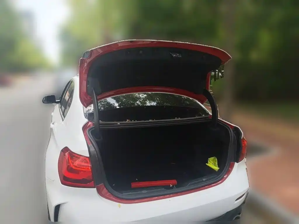 BMW 1 Series — миниатюра 10