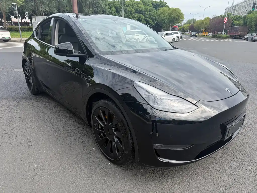 Tesla Model Y — миниатюра 3