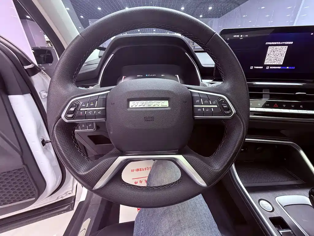 Haval H6 — миниатюра 11