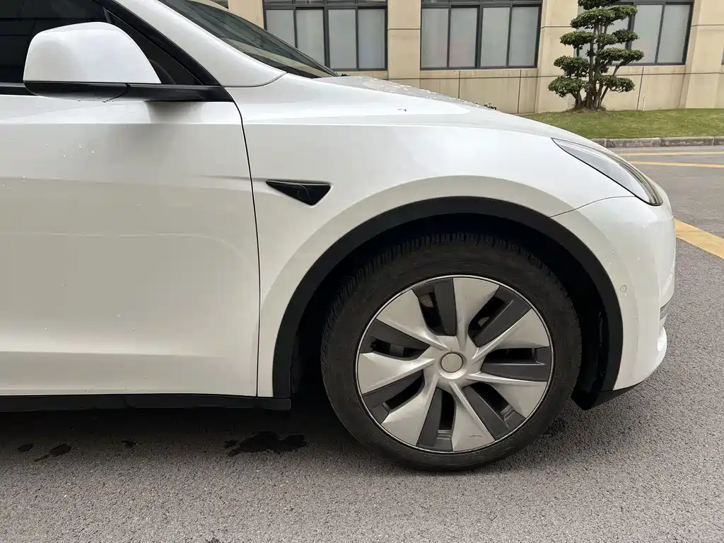 Tesla Model Y — миниатюра 21
