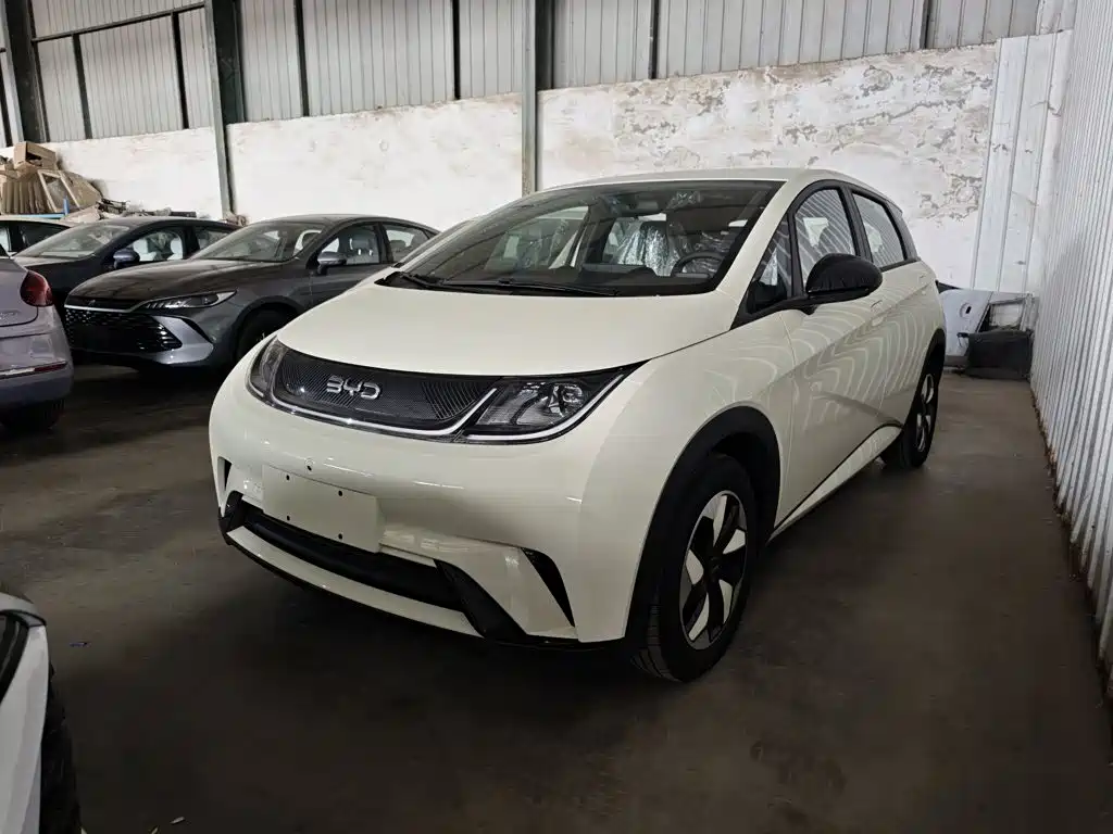 BYD Dolphin — миниатюра 2