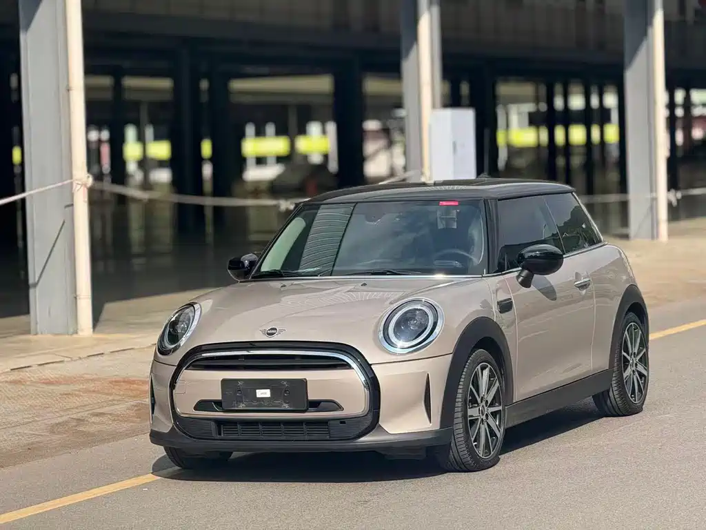 Mini Mini 2023