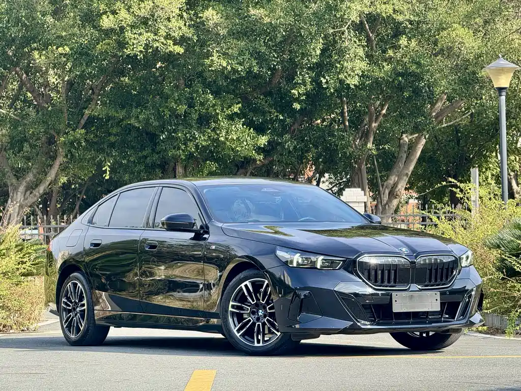 BMW 5 Series — миниатюра 3