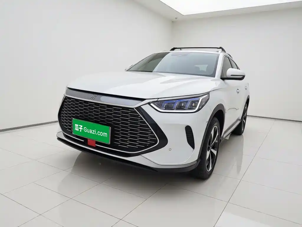 BYD PLUS New Energy — миниатюра 2