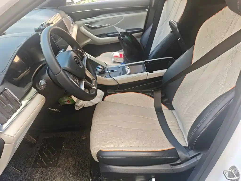 BYD PLUS New Energy — миниатюра 8