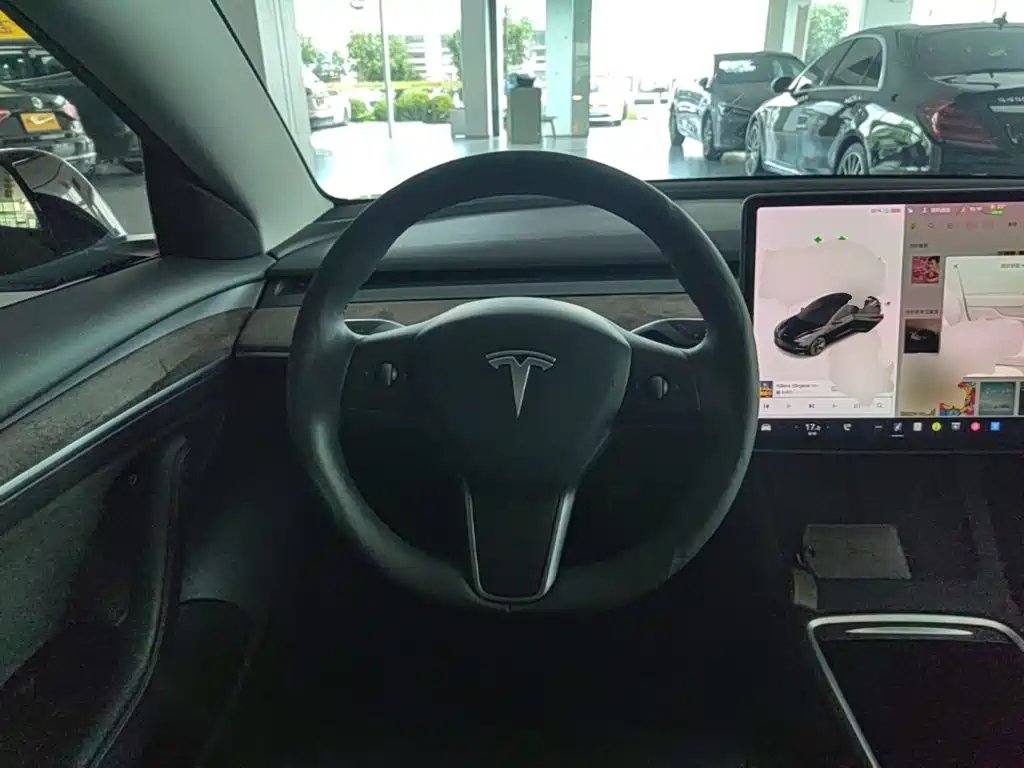 Tesla Model 3 — миниатюра 11