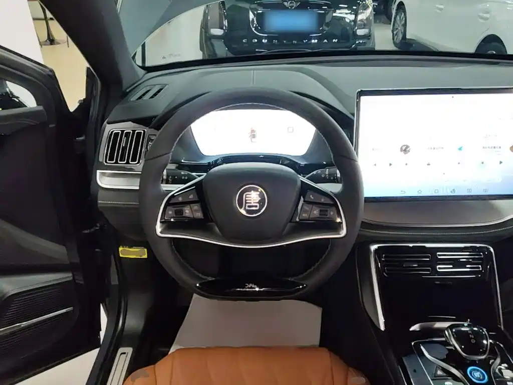 BYD Tang New Energy — миниатюра 11