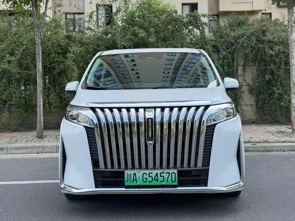 Wey Wey Gaoshan New Energy — миниатюра 2