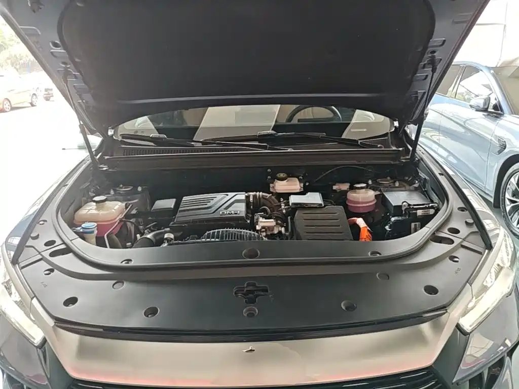 BYD Pro New Energy — миниатюра 20