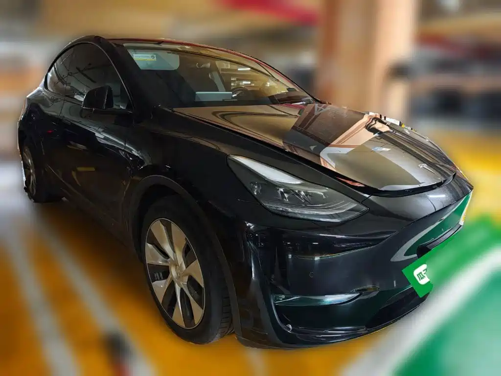 Tesla Model Y — миниатюра 3