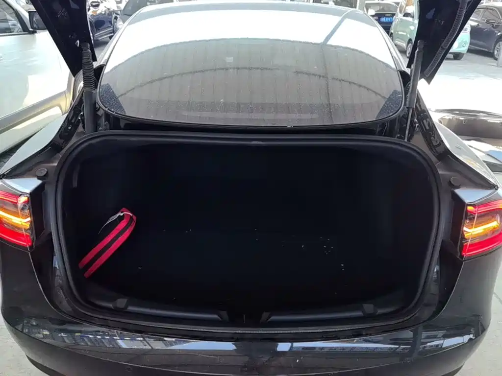 Tesla Model 3 — миниатюра 19