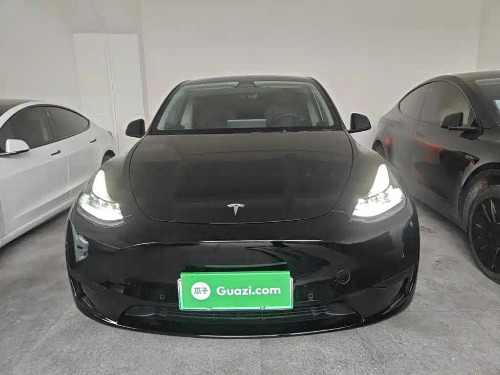 Tesla Model Y — миниатюра 3
