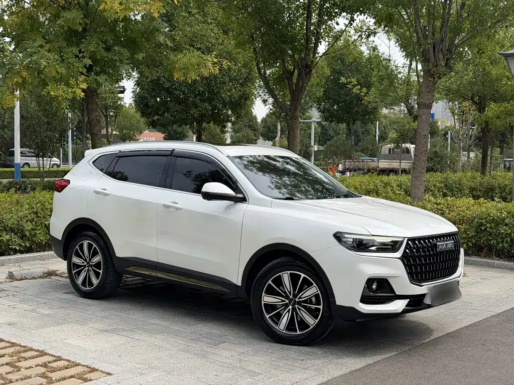 Haval H6 — миниатюра 24