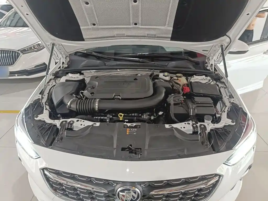 Buick Regal — миниатюра 20