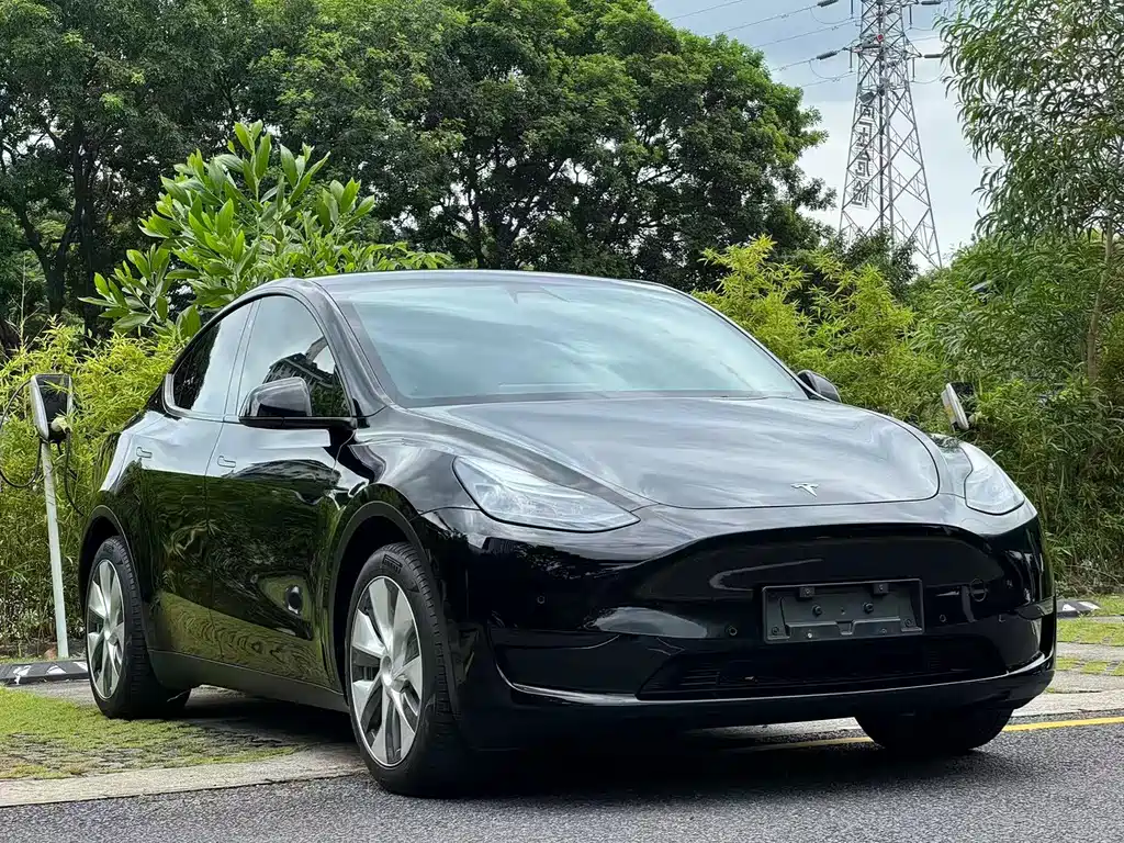 Tesla Model Y — миниатюра 3