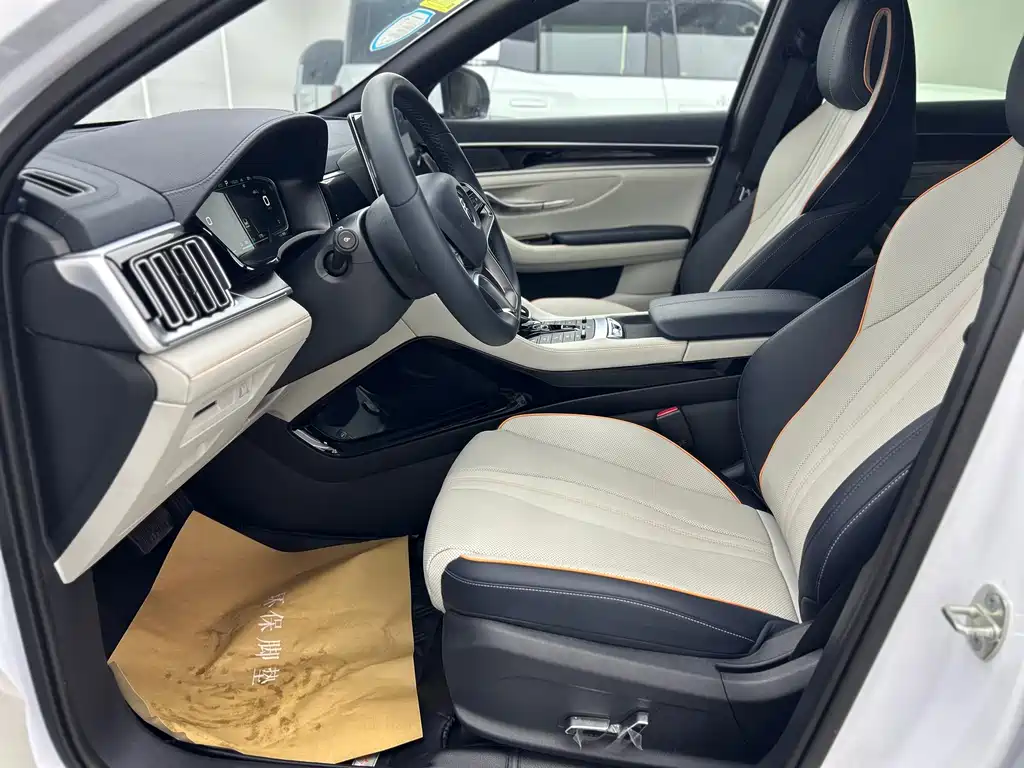 BYD PLUS New Energy — миниатюра 6