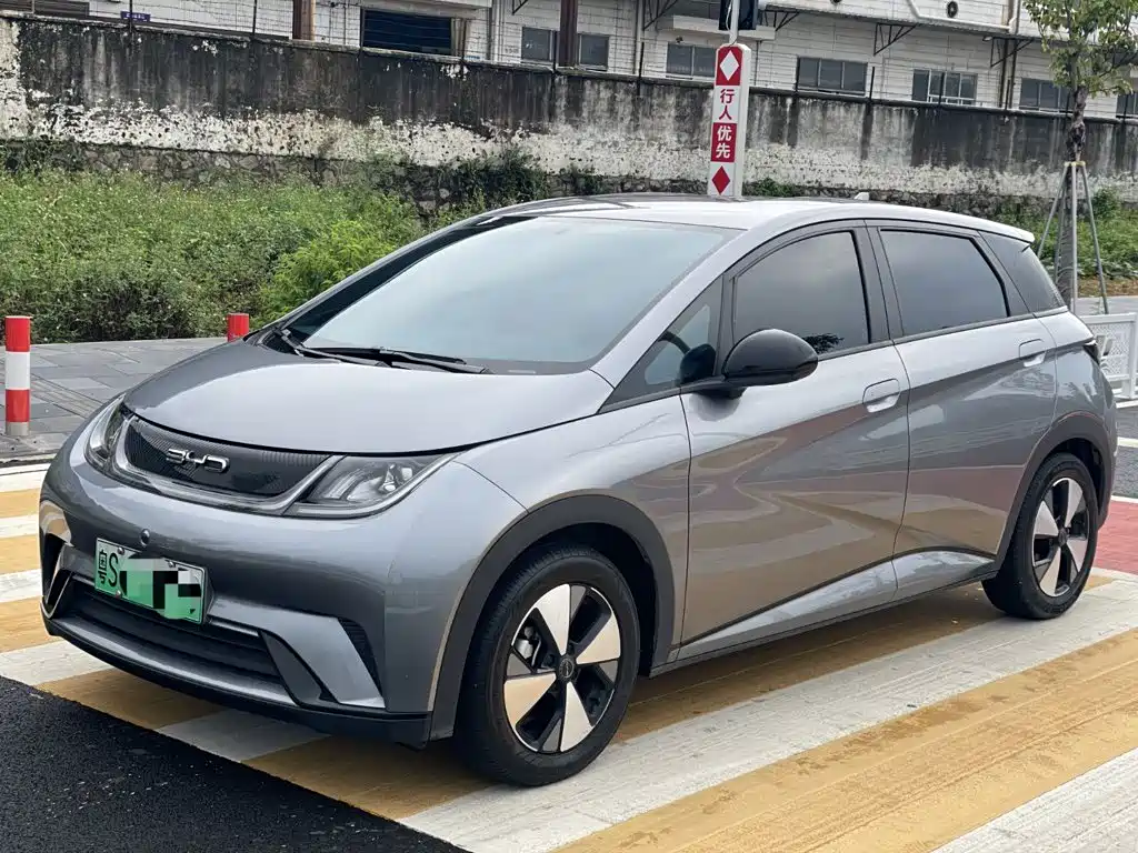 2024 BYD Dolphin - zdjęcie 1 z 14