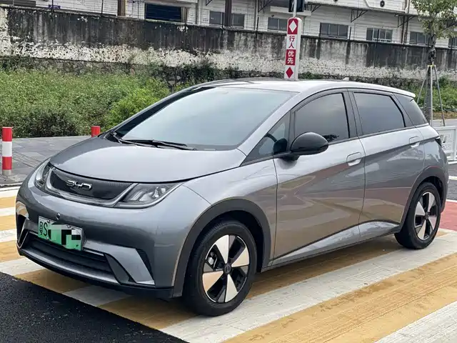 2024 BYD Dolphin