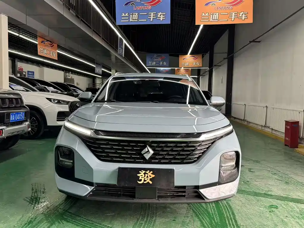 BAOJUN VALLI