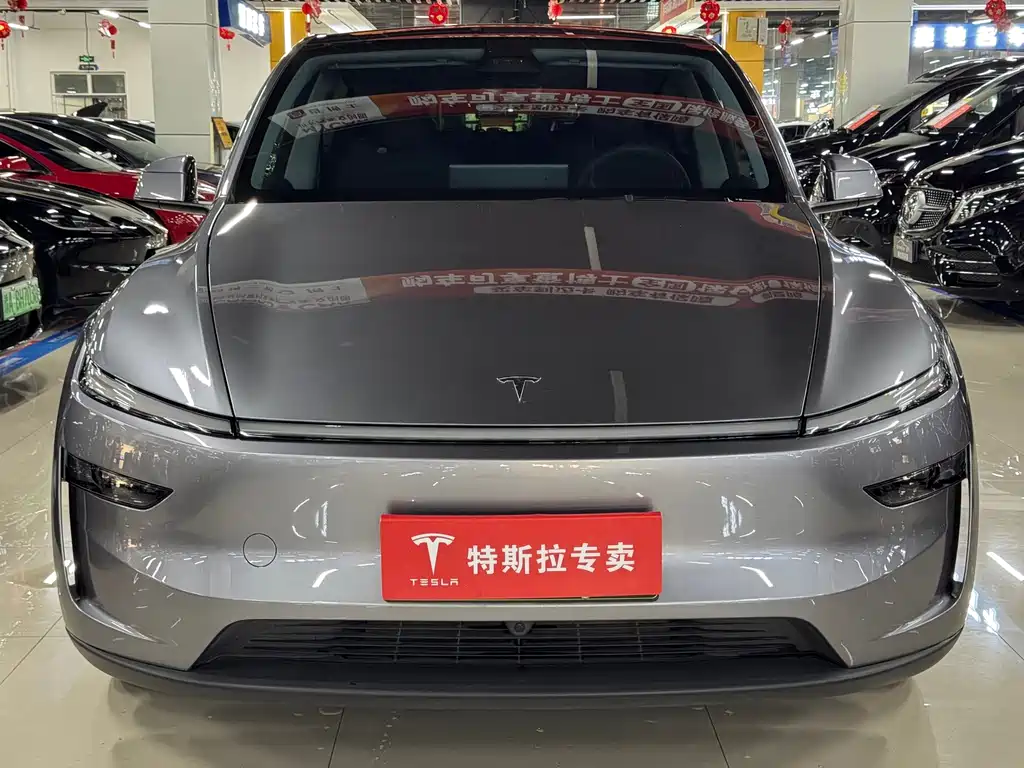 Tesla Model Y — миниатюра 2