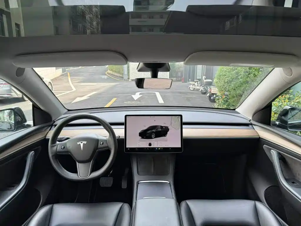 Tesla Model Y — миниатюра 5