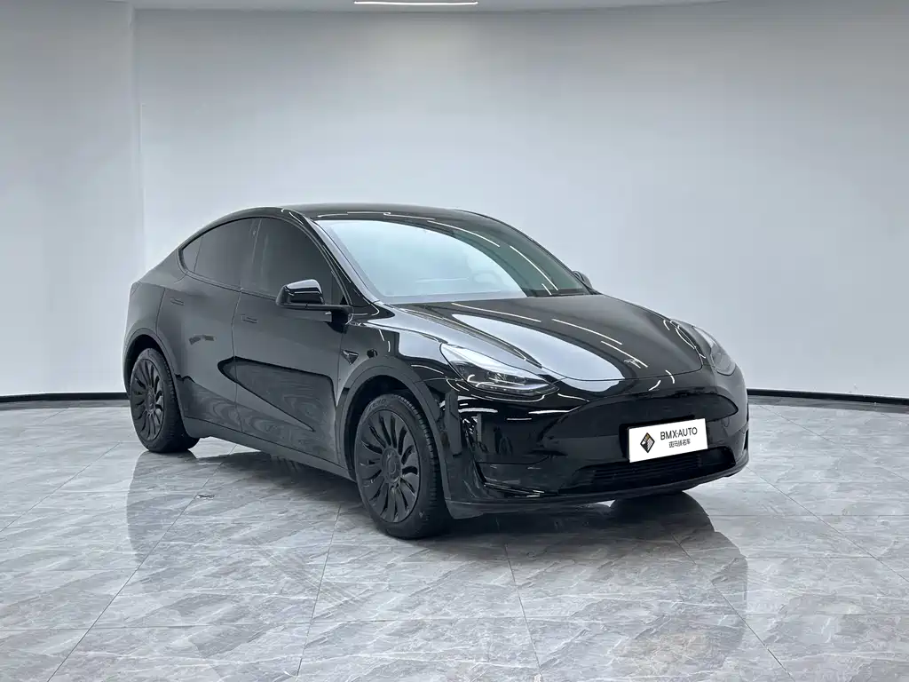 Tesla Model Y — миниатюра 2