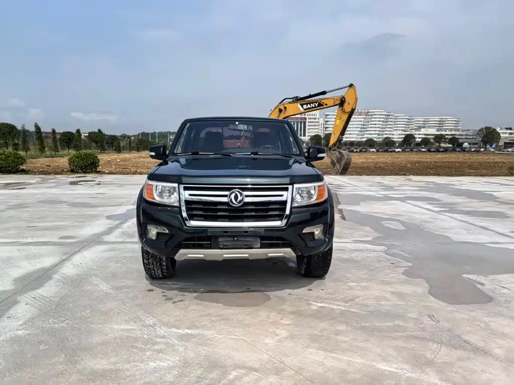 Dongfeng Rich — миниатюра 6