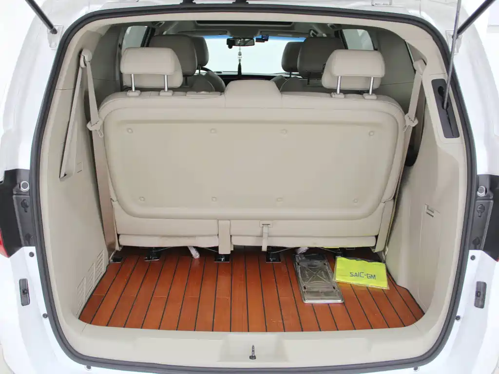 Buick GL8 — миниатюра 14