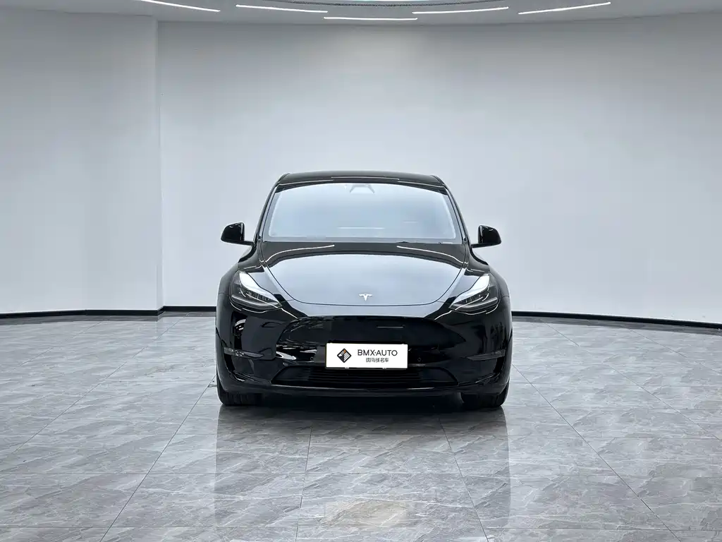 Tesla Model Y — миниатюра 4