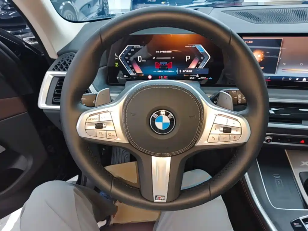BMW X5 — миниатюра 11