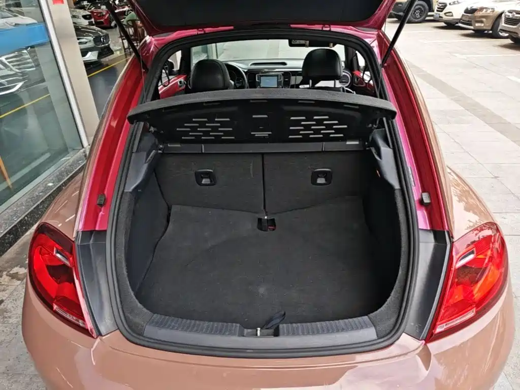 Volkswagen Beetle — миниатюра 19