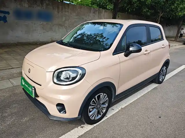 2021 Leapmotor T03