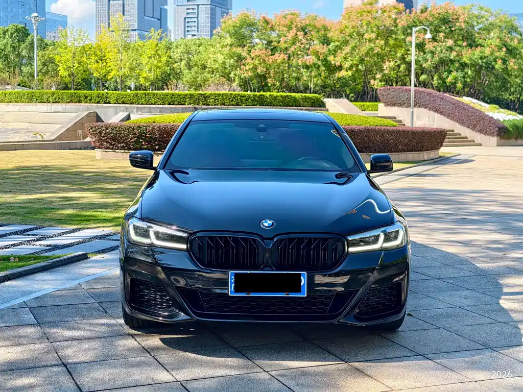 BMW 5 Series — миниатюра 2