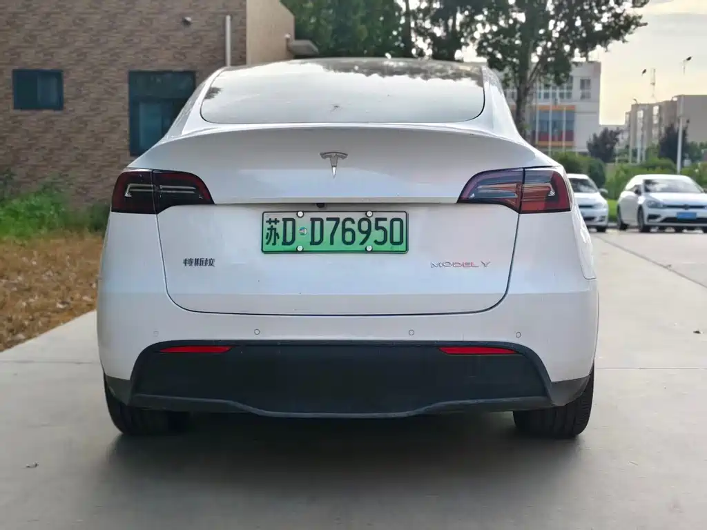 Tesla Model Y — миниатюра 9