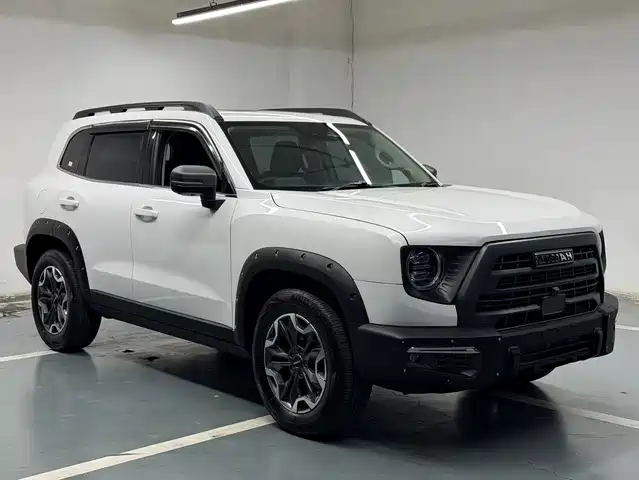 2024 Haval Big Dog