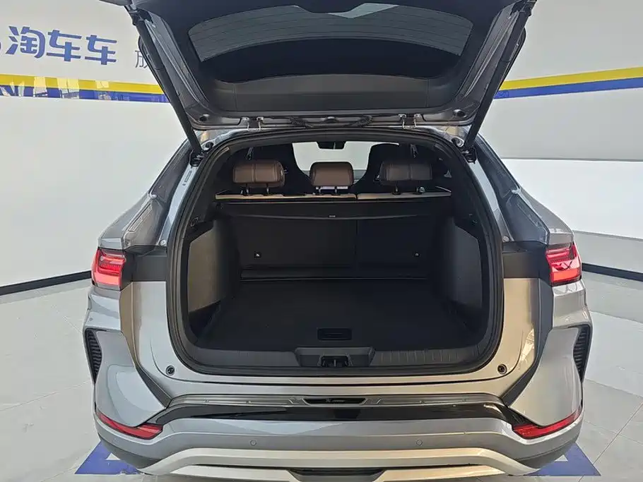 BYD PLUS New Energy — миниатюра 4