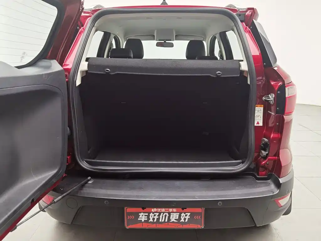 Ford Ecosport — миниатюра 16