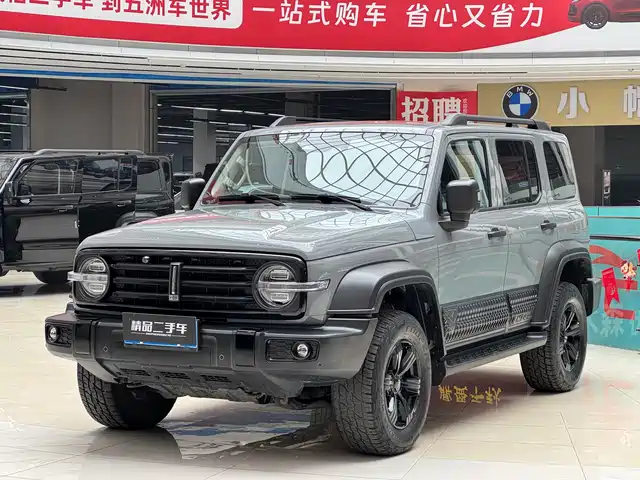 2021 TANK 300