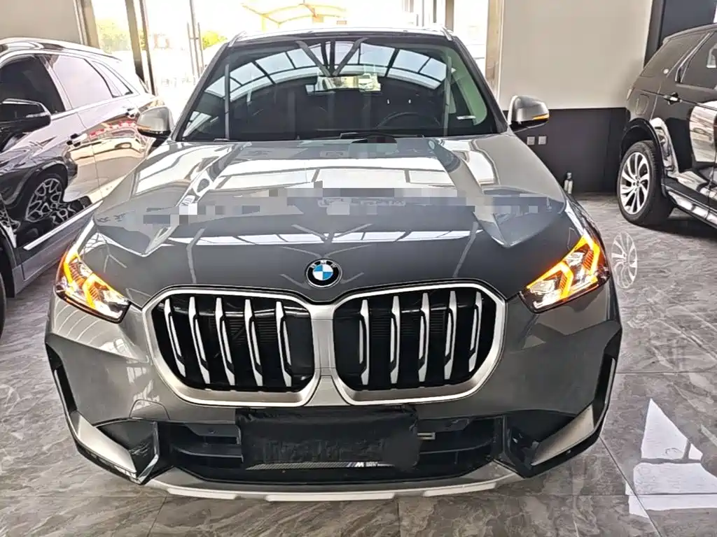 BMW X1 — миниатюра 3