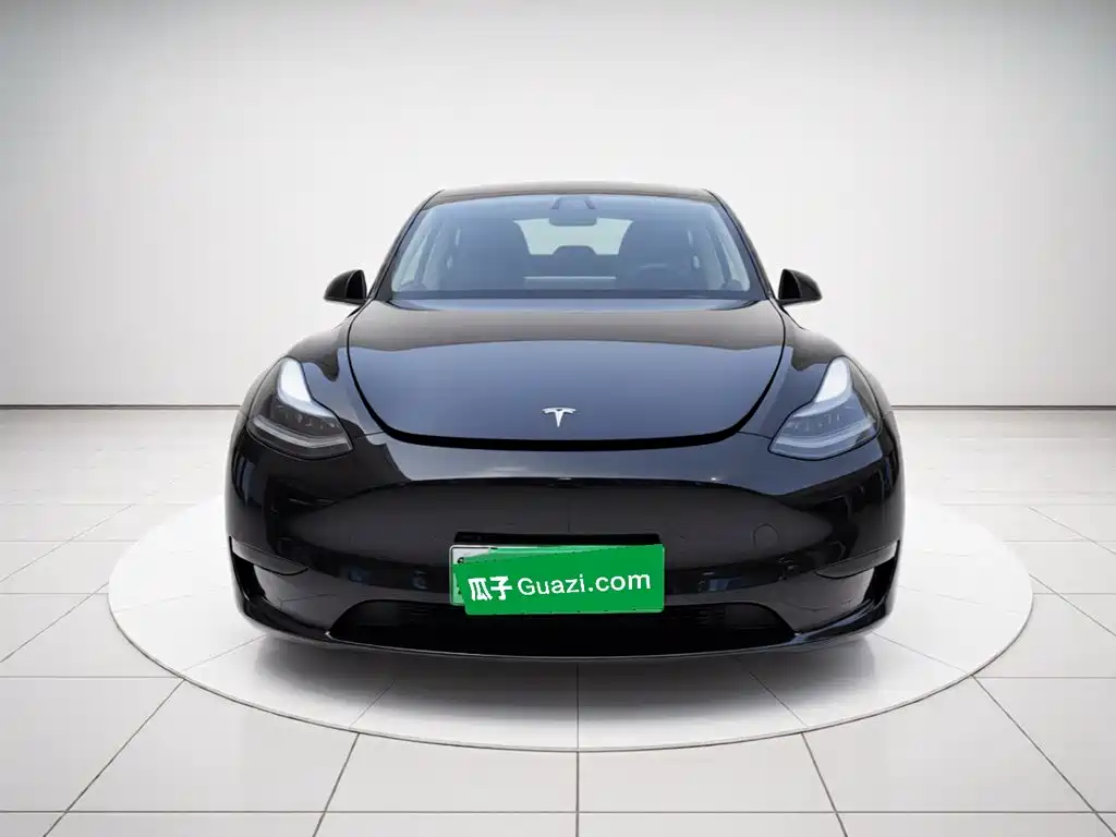 Tesla Model Y — миниатюра 2