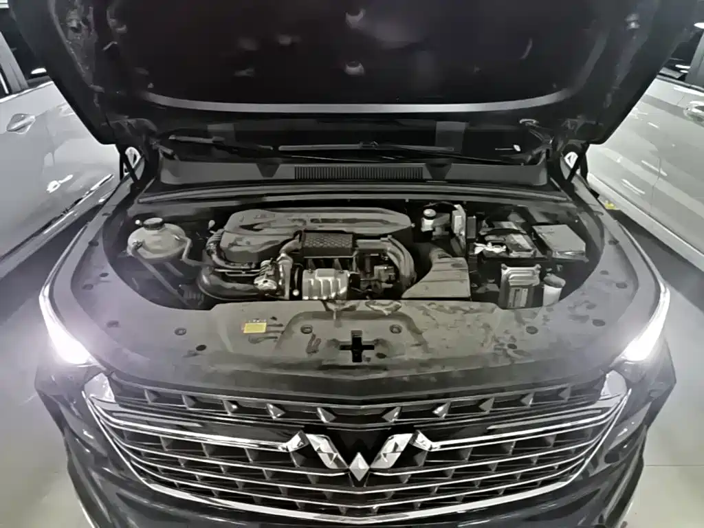 Wuling Victory — миниатюра 20