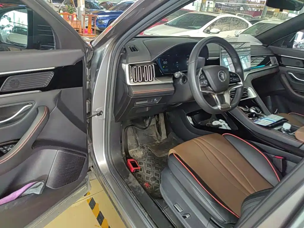 BYD PLUS — миниатюра 16