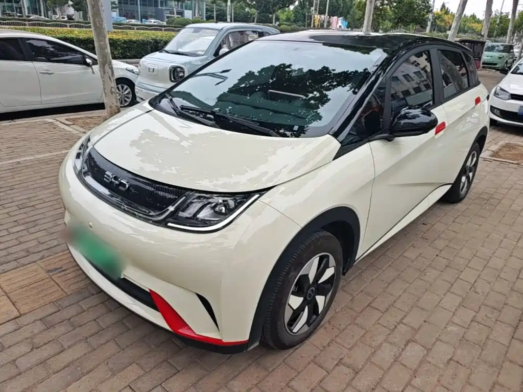 BYD Dolphin — миниатюра 2
