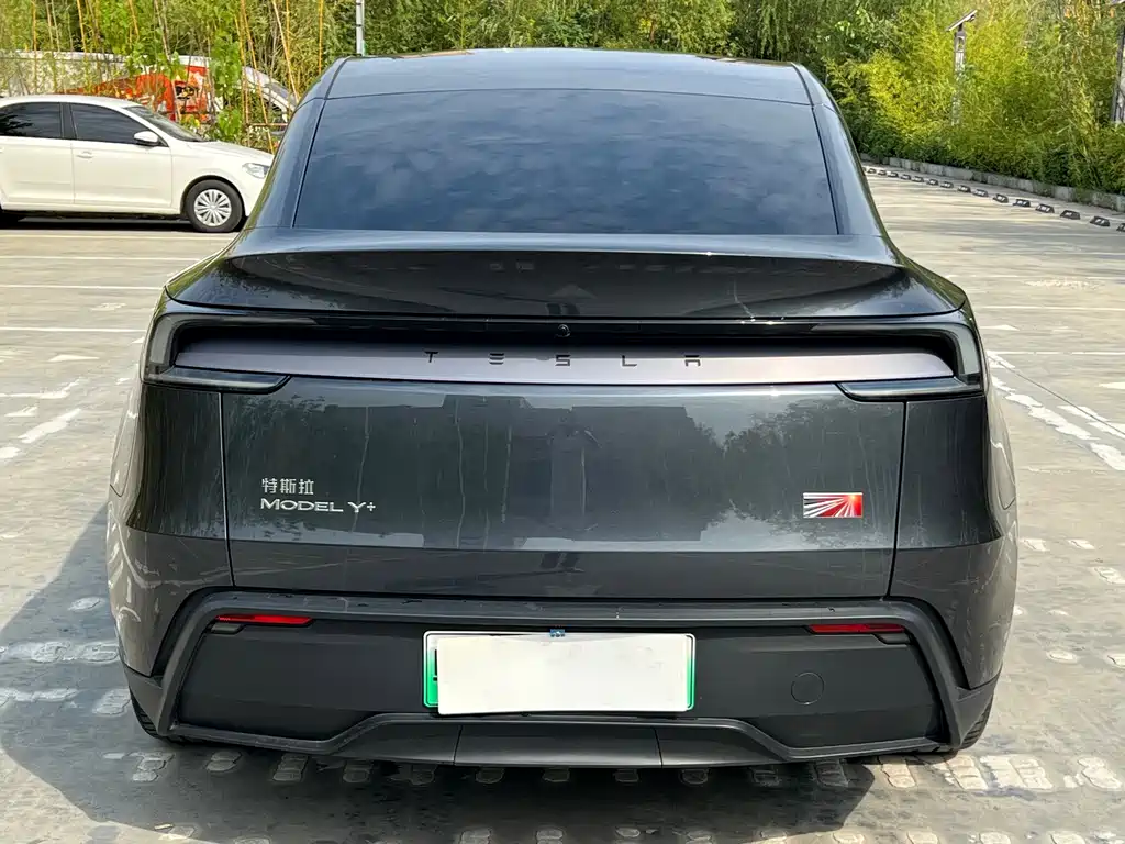Tesla Model Y — миниатюра 8