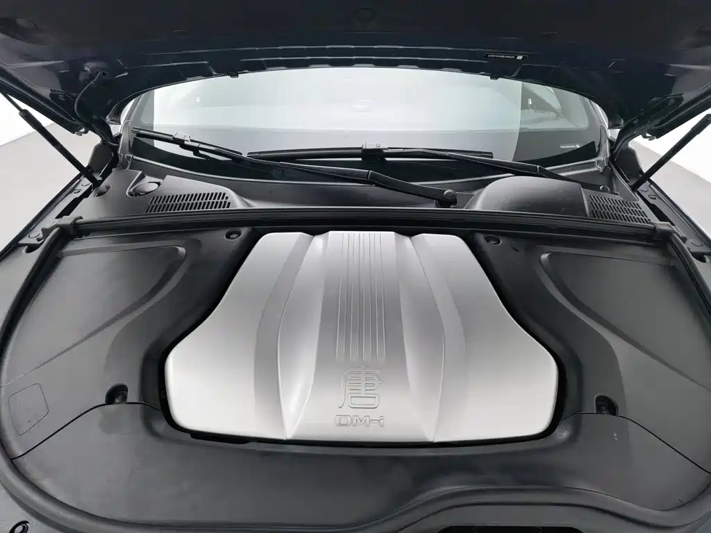 BYD Tang New Energy — миниатюра 6
