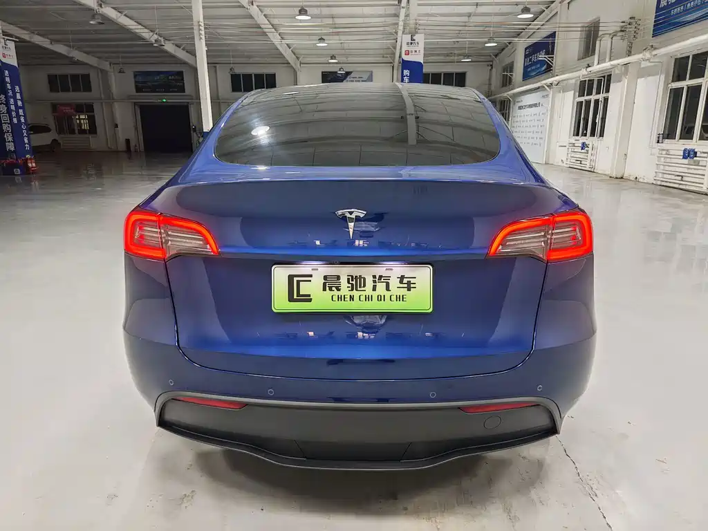 Tesla Model Y — миниатюра 5