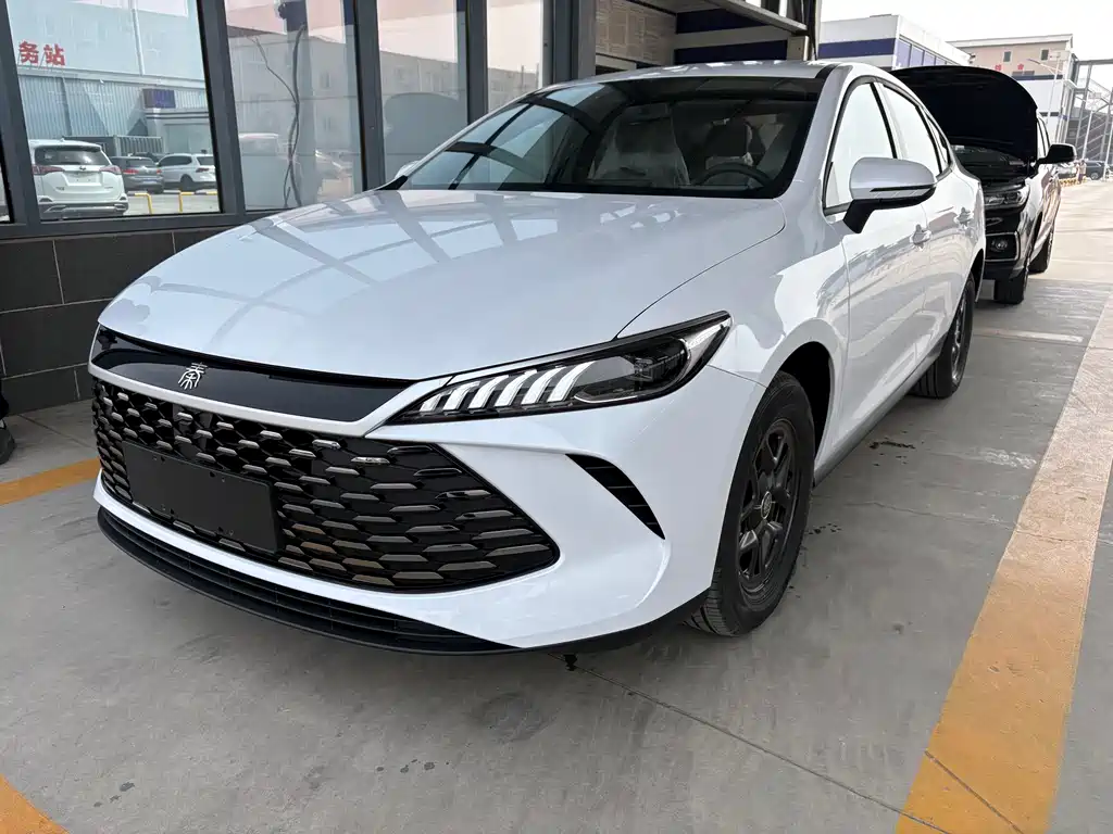 Byd Qin PLUS 2026